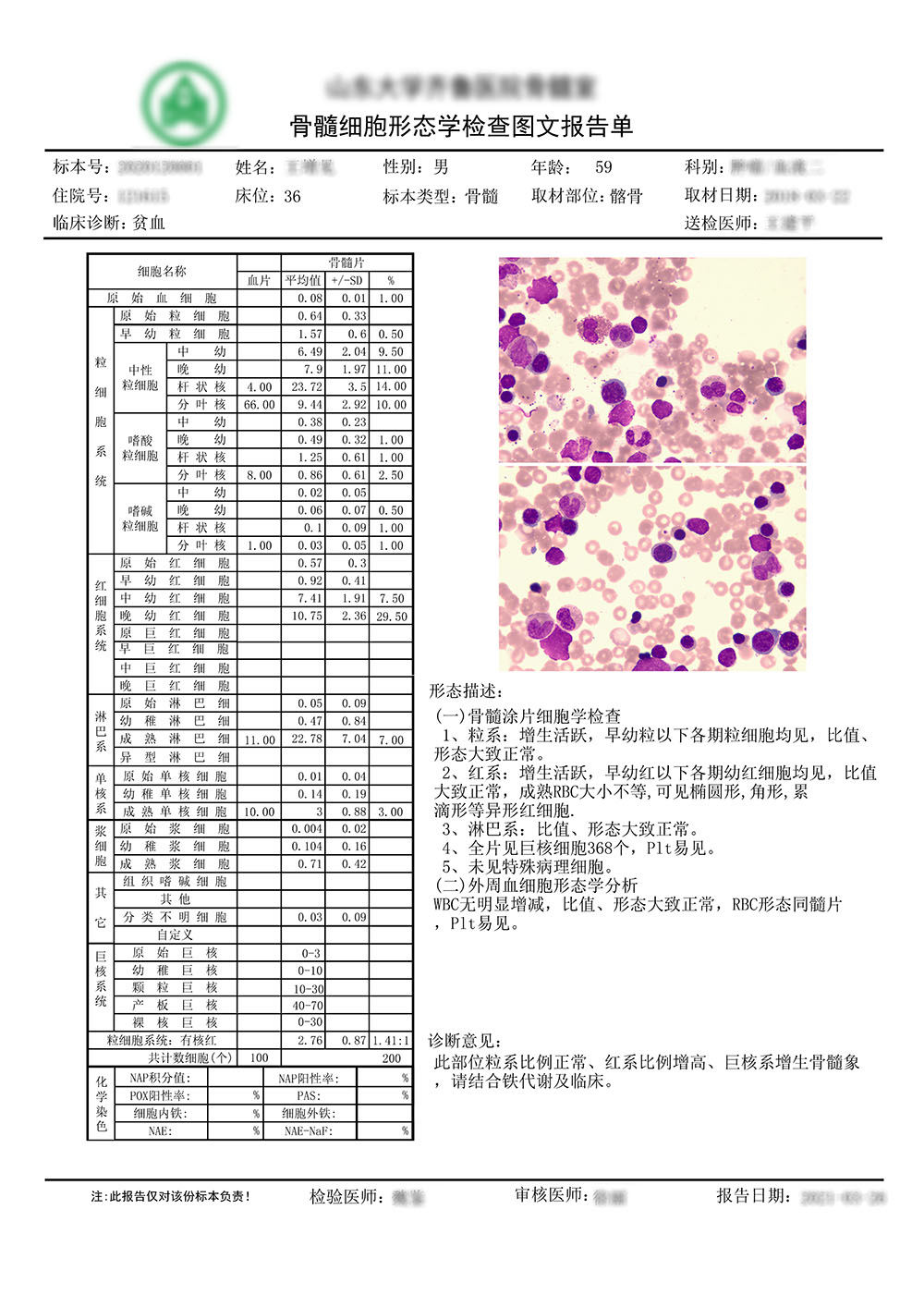 骨髓圖文 骨髓圖文