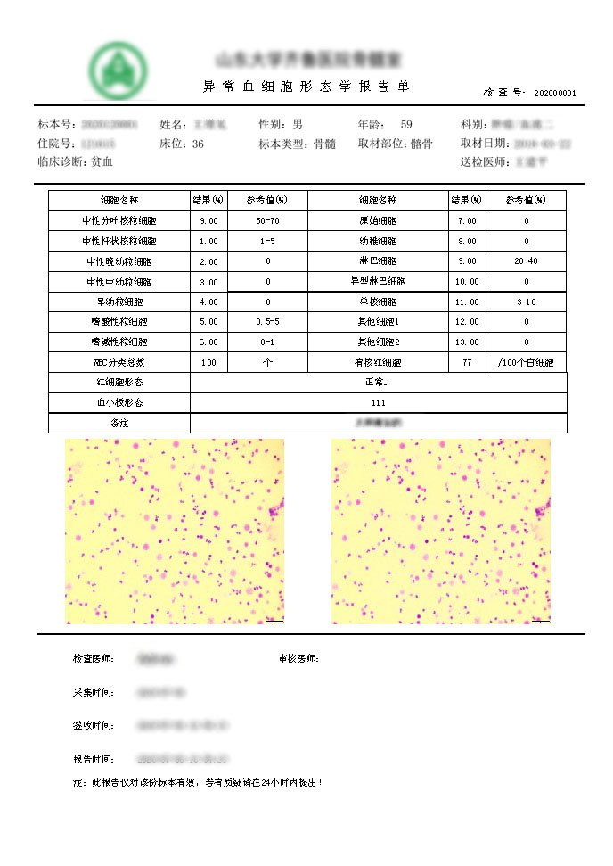 骨髓圖文 骨髓圖文